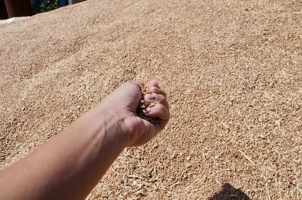 Kirk Allen Trucking & Landscape Supply Fast and Professional Service