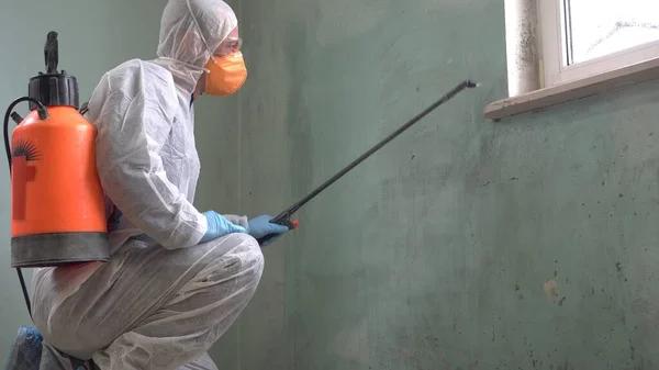 Emergency Henrico Mold Remediation Service Available When You Need It