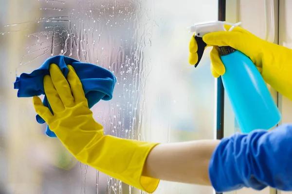 Discover the Best Window Cleaning Plano Has to Offer