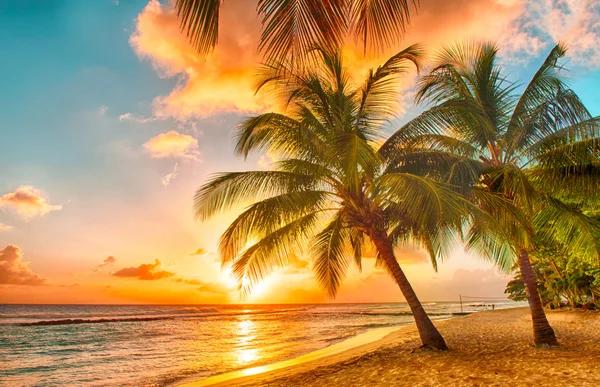 Explore the Best South Padre Island Vacation Condos for Your Next Vacation