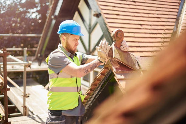 Enhance Your Property Value with Professional Roofing Contractor Services